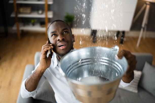 Best Basement water damage restoration  in East Falmouth, MA
