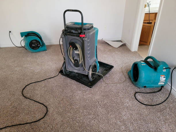 Best Carpet water damage restoration  in East Falmouth, MA