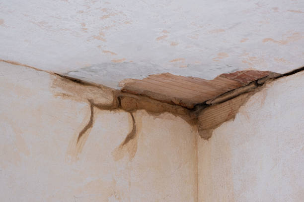 Best Mold removal after water damage  in East Falmouth, MA