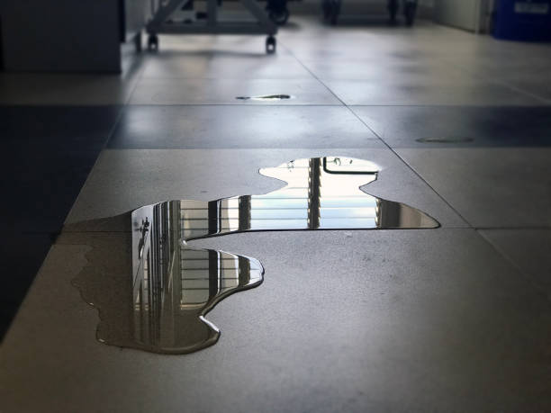 Best Water damage restoration near me  in East Falmouth, MA