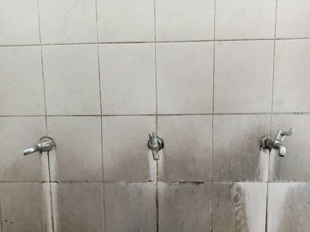 Best Ceiling water damage repair  in East Falmouth, MA