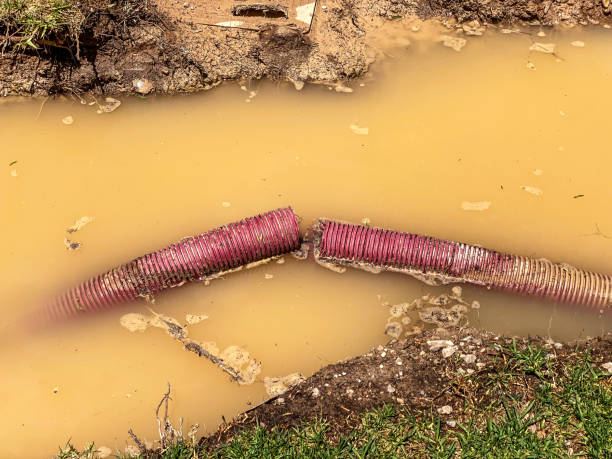 Best 24/7 water damage repair  in East Falmouth, MA